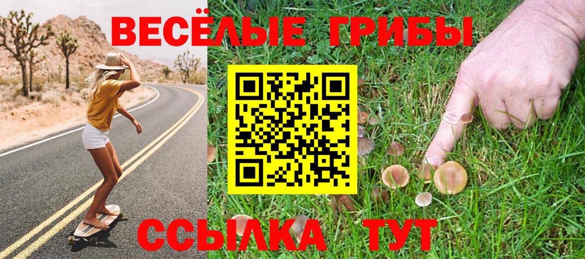 Псилоцибиновые грибы ЛСД  Псилоцибиновые грибы Cubensis  Вход с VPN  Кудымкар 